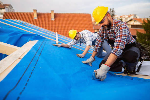 Best Roof Repair Services  in Carey, OH