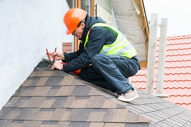 Best Roof Gutter Cleaning  in Carey, OH
