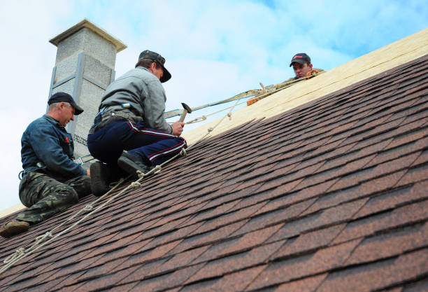 Best Flat Roof Repair Services  in Carey, OH