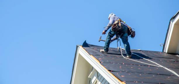 Best Shingle Roofing Installation  in Carey, OH